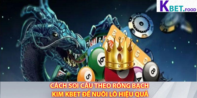 Cách soi cầu theo Rồng Bạch Kim Kbet để nuôi lô hiệu quả
