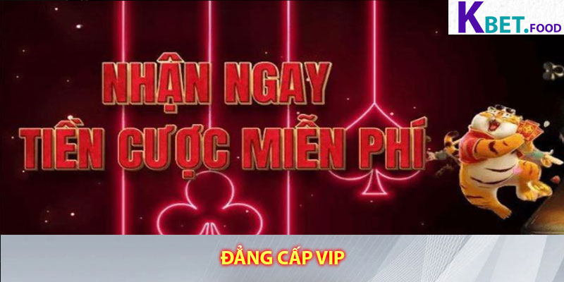 Đẳng cấp VIP