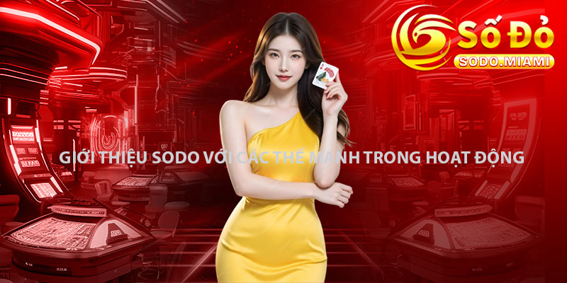 Giới thiệu Sodo với các thế mạnh trong hoạt động