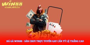 Đá gà Win88 - Sân chơi trực tuyến gay cấn tỷ lệ thắng cao