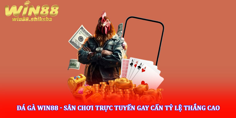 Đá gà Win88 - Sân chơi trực tuyến gay cấn tỷ lệ thắng cao 4 Đá gà Win88 - Sân chơi trực tuyến gay cấn tỷ lệ thắng cao