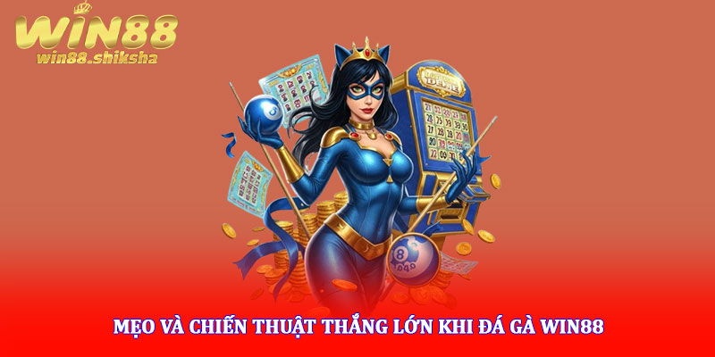 Đá gà Win88 - Sân chơi trực tuyến gay cấn tỷ lệ thắng cao 7 Mẹo và chiến thuật thắng lớn khi đá gà Win88