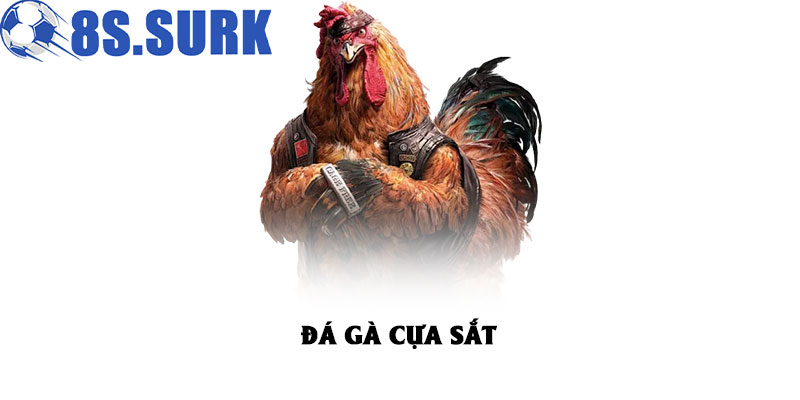 Đá Gà 8S – Mãn Nhãn, Chân Thực Trong Từng Trận Chiến 2025 5 Đá gà cựa sắt